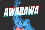 Desegun - Awarawa