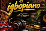 Mr Enemuo Musical - Igbopiano Beatz